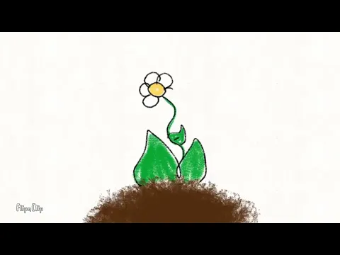projeto 1 animação | o menino e a flor