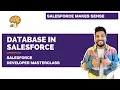 Salesforce Database Chapter 7 Salesforce Developer Masterclass