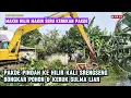 Lagu MAKIN HILIR SEMAKIN SERU KERUKAN PAKDE MUJI❗AREA MASIH BANYAK POHON \u0026 GULMA LIAR 
