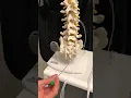 Sacroiliac Joint Injection