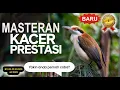 Download Lagu Masteran Kacer Gacor Materi Mewah Prestasi‼️ #MasteranKacer #MasteranBurung #KacerPrestasi