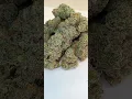 Animal Cookie s Cannabis strain review