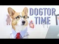CUTEST DOCTOR - Topi the Corgi