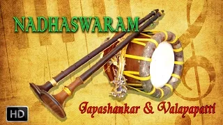 classical instrumental nadhaswaram samaganapriye jayashankar u0026 valayapatti subramaniam