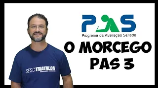 OBRA ANTIGA PAS 3 - O Morcego - Augusto dos Anjos - análise e comentários
