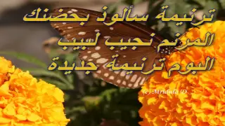 ترنيمة سالوذ بحضنك     دندنها
