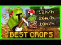 The Best Crops To Farm Hypixel Skyblock