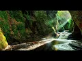Anjunadeep Marsh & Wassu - Amor