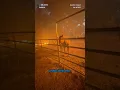 California firefighter hops fence to rescue trapped horse