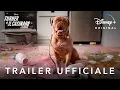 Video di Disney+ | Turner e il Casinaro - La Serie | In Streaming dal 21 Luglio