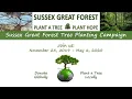Harry and Meghan Sussex Royal mentions SussexSquad Sussex Great Forest initiative