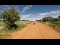 Hippo Charge