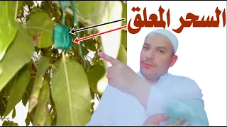 علاج السحر المعلق وابطاله رقية شرعية قوية لابطال السحر المعلق سحر الاشجار والهواء 