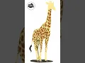 Python Turtle Graphics - 6 Giraffe Art by Code