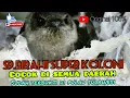 Download Lagu SP.BIRAHI SUPER KOLONI..cocok di semua daerah.terbukti di pulau sulawesi...di jamin hanya 5 bulan...
