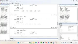 Describing data Using Codebook and Summary Statistics in STATA