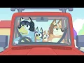 Dad's a Big Teaser! | Teasing | Bluey
