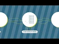 Rapid Code Refactoring