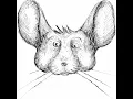 The JavaScript and Hyperledger foundations