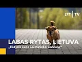 Download Lagu „Didysis šuns šeimininko vadovas“ | Labas rytas, Lietuva | 2025-05-10