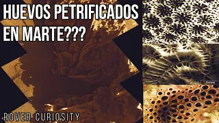 ROVER CURIOSITY FOTOGRAFÍA HUEVOS PETRIFICADOS EN MARTE???