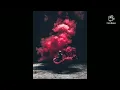 Adrenaline- Shinedown (𝓢𝓵𝓸𝔀𝓮𝓭 𝓓𝓸𝔀𝓷)