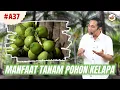 Download Lagu Punya Lahan Luas Tanamlah Kelapa