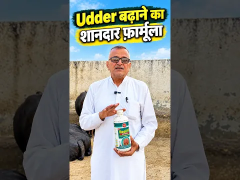 गाय भैंस का Udder बढ़ाने का फॉर्मूला 👌🏻 # #dairyfarming #udder