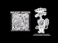 Download Lagu Molotov Cocktail - Invisible Cell