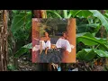 Coco & Breezy - Dreams (Visualizer)