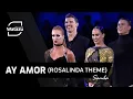 Download Lagu Ay Amor (Rosalinda Theme) Samba | Watazu Remix