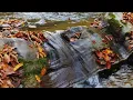 PEACE IN THE SILENCE 🕊️ Meet God in the Stillness | Soaking Piano Worship & Prayer