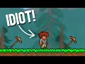 27 Unwritten Rules Of Terraria
