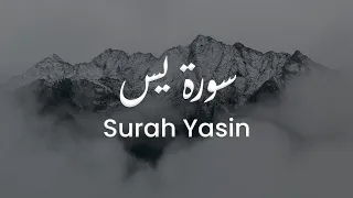 سورة يس للشيخ علي البراق المصحف المرتل  سورة يس للشيخ علي البراق المصحف المرتل