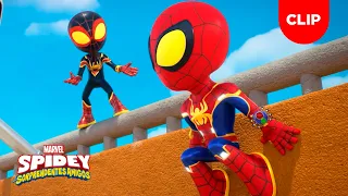 ¡El equipo Spidey se vuelve invisible! | Clip | Spidey y sus Increíbles Amigos