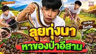 ตะลุยอาหารแดนอีสาน #เชฟเรียว พาลุยทุ่งนา หาของพื้นบ้านมาทำเมนูเด็ด HIGHLIGHT | SUPER100