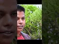 Download Lagu New Nepali Deuda Song 2024 Sai Baigai Parai Ka Satha By Kalpana BC Khagendar Chhetri 👹💯💲