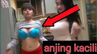 goyang anjing kacili dinar candy dan pamela safitri duo serigala