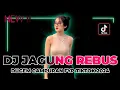 Download Lagu DUGEM CAMPURAN FYP TIKTOK 2024 !! DJ JAGUNG REBUS X DAWAI  | REMIX FUNKOT FULL BASS