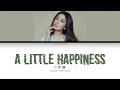 Hebe Tien (田馥甄) - A Little Happiness Lyrics (小幸運) [Cha|Pin|Eng]