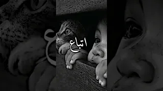 ديدين كانون 16 في اوطاني الحزن شديد تركوني اعاني وحيد 