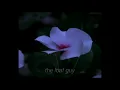 billie eilish - hostage | slowed + reverb