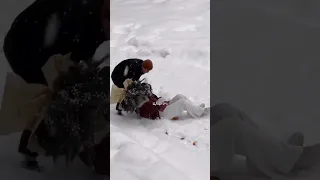 من اول دقيقه لحبك قلبي مال ابعتو للحب 