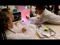 Making Science Connections Across the Curriculum