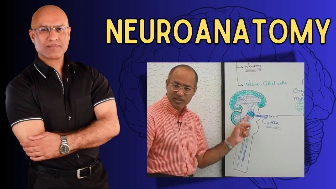 Neuroanatomy | Neurology | Neuroscience | Dr Najeeb
