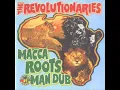 the revolutionaries - the flood of dub.wmv