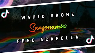 Download Sanfonamix - Wahid Bronz ( Fvnky Jedag Jedug ) Nwrmx 2K21 MP3