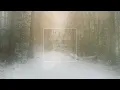 FR!ES & LIZOT - Missing You (L.A.K. tronic Remix)