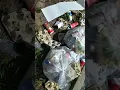 Pasco County Trash