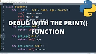 Debug with the print Function in python